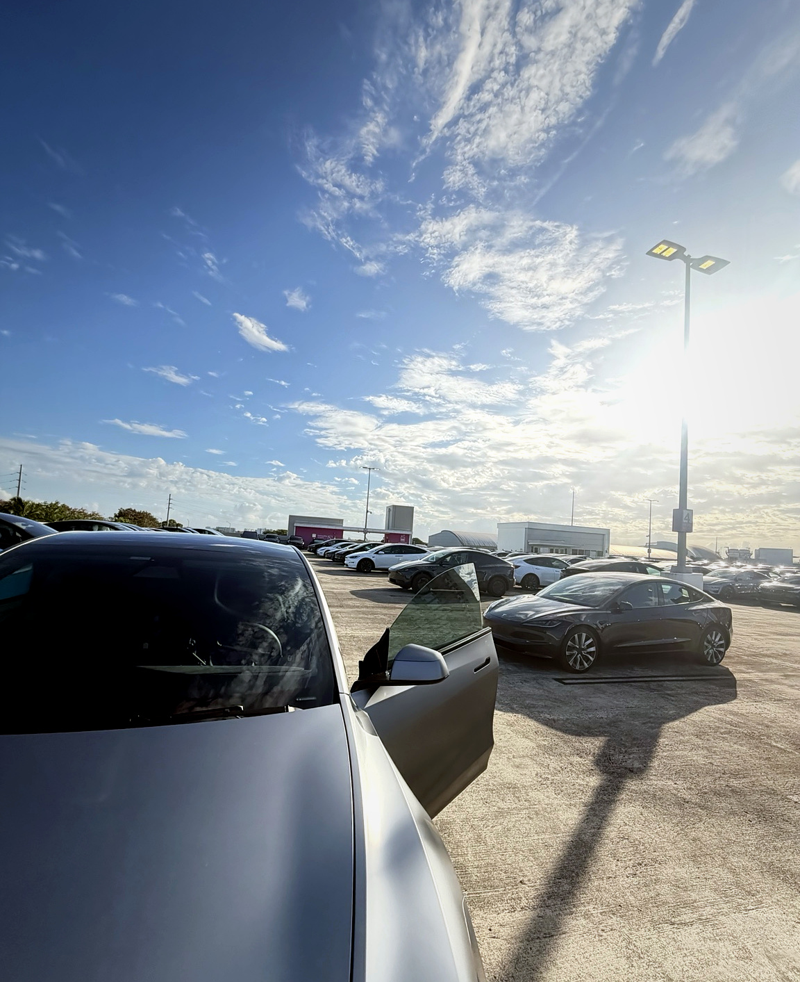 Model Y in Quicksilver alongside other Teslas